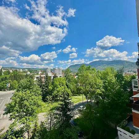 Cozy Flat In & Olympic Hall View Apartment Sarajevo
