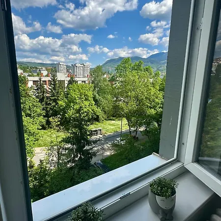 Cozy Flat In & Olympic Hall View Apartment
