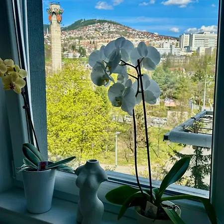 Cozy Flat In & Olympic Hall View * Sarajevo